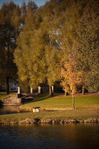 Scene of a bench on the shore of Taylor Lake with Willow Path and a bridge in the background.